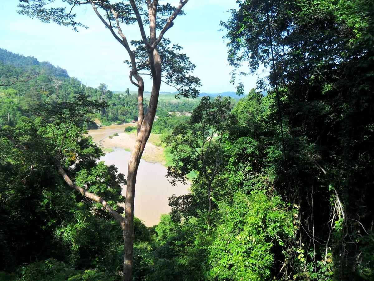 Delimah Guesthouse Kuala Tahan Kültér fotó