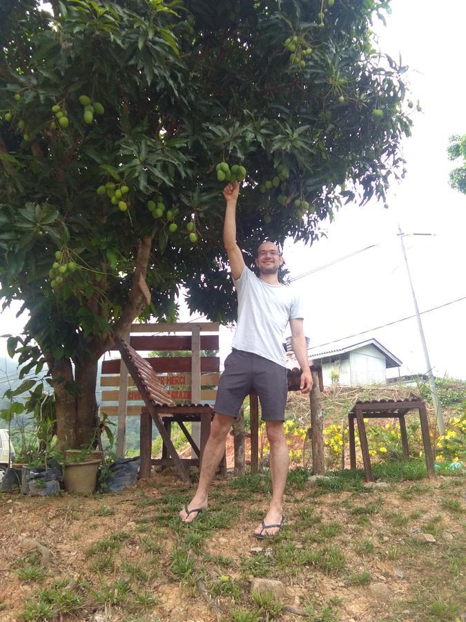 Delimah Guesthouse Kuala Tahan Kültér fotó