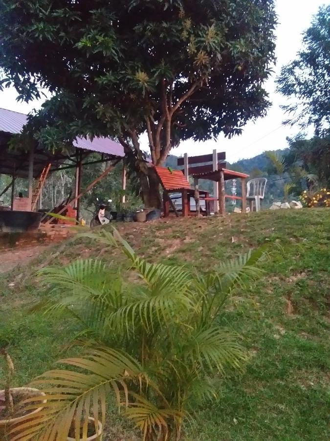 Delimah Guesthouse Kuala Tahan Szoba fotó
